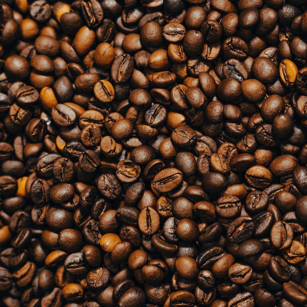 Freshly roasted coffee beans filling the frame
