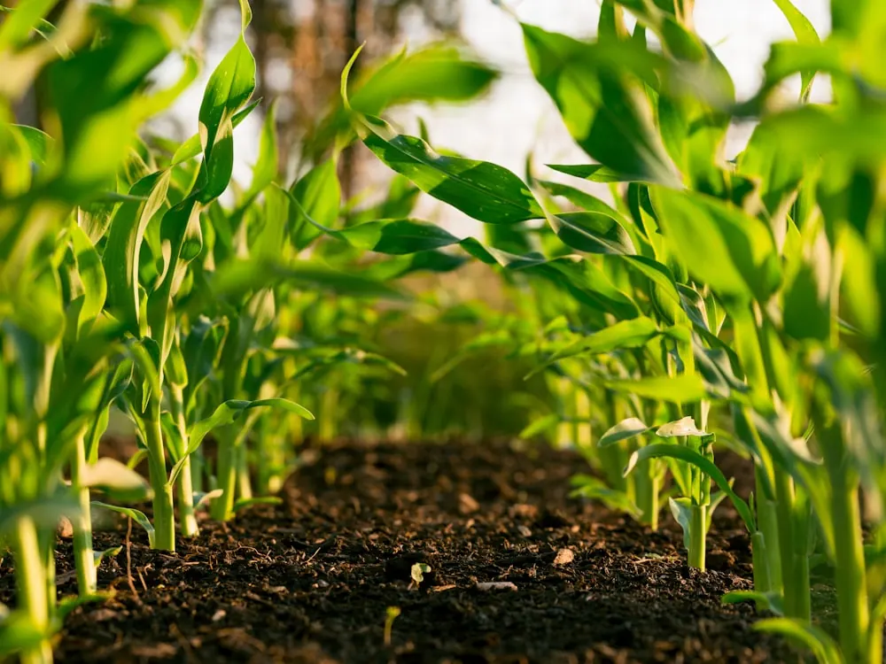 Agriculture logistics