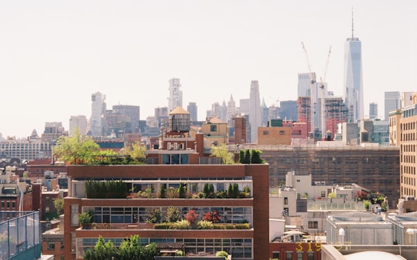 A sunlit city skyline seen from a high roof terrace