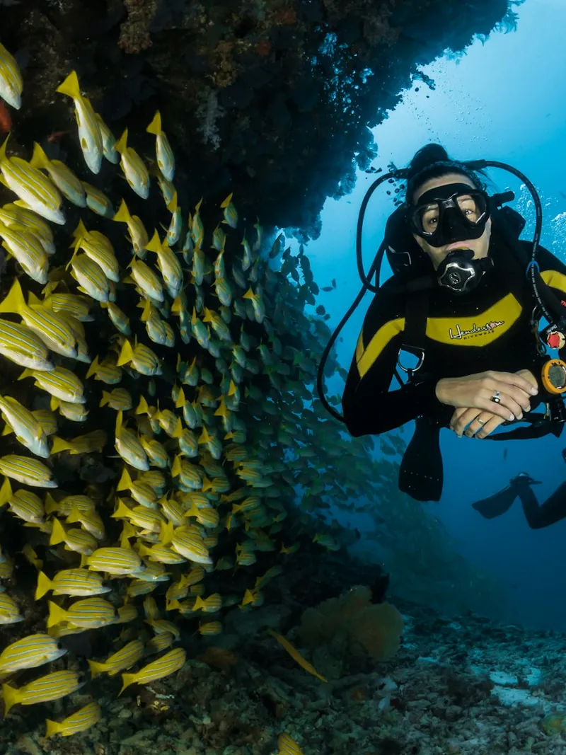 Scuba diver swimming through a shoal of yellow fish